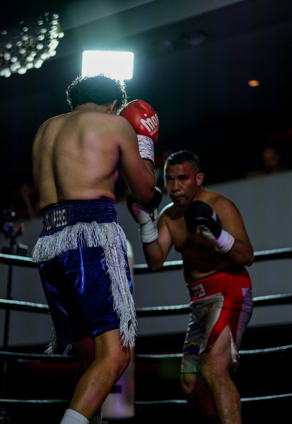 Ringside boxing photography at a Sydney fight night, shot in venue lighting (frame 7 of 24)