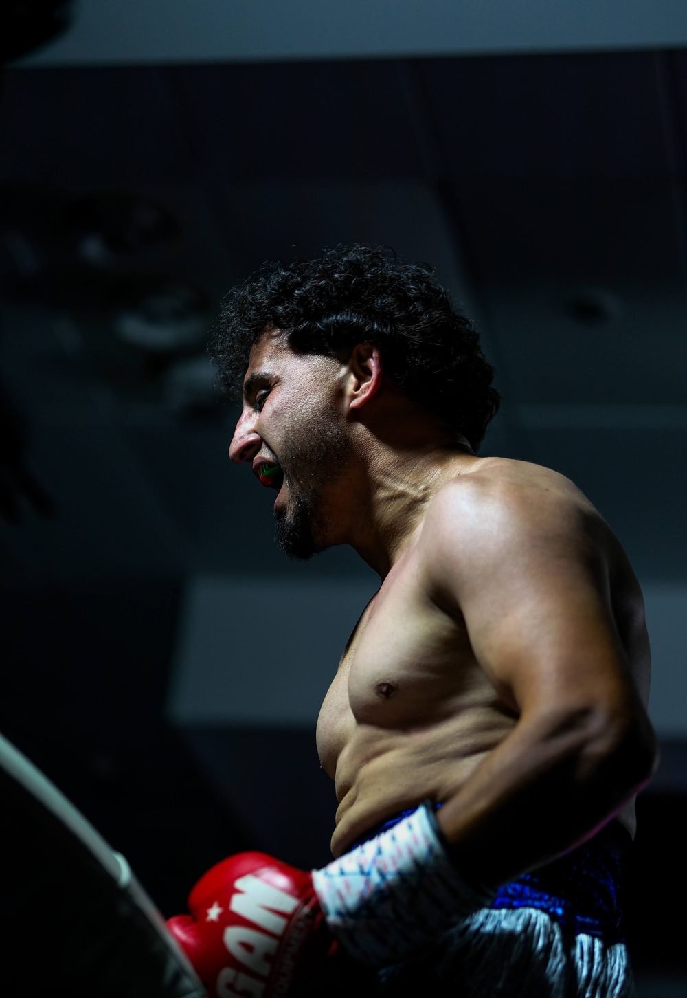 Ringside boxing photography at a Sydney fight night, shot in venue lighting (frame 14 of 24)