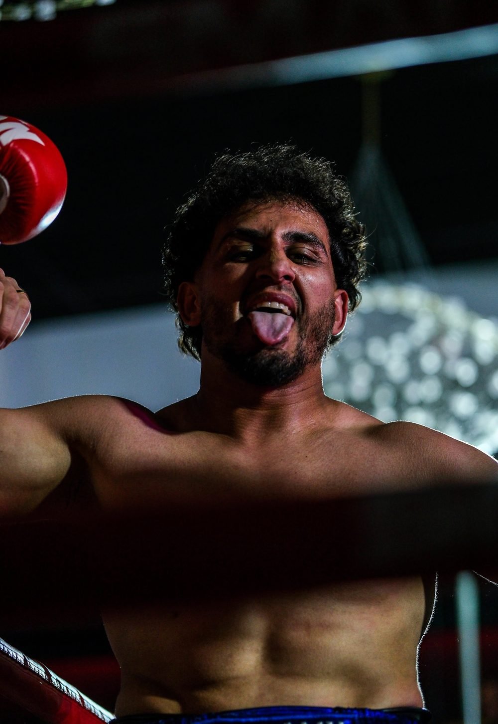 Ringside boxing photography at a Sydney fight night, shot in venue lighting (frame 15 of 24)
